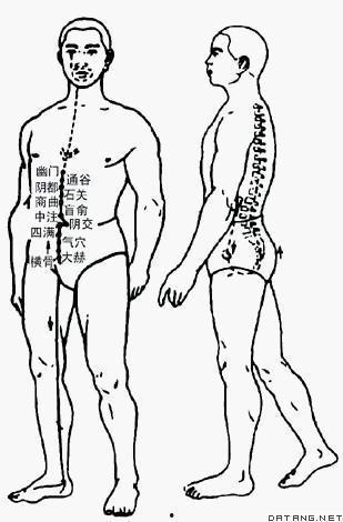 冲脉视频,揭秘人体生命之河的神奇力量