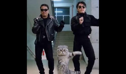 周星驰短视频,笑中带泪的喜剧人生